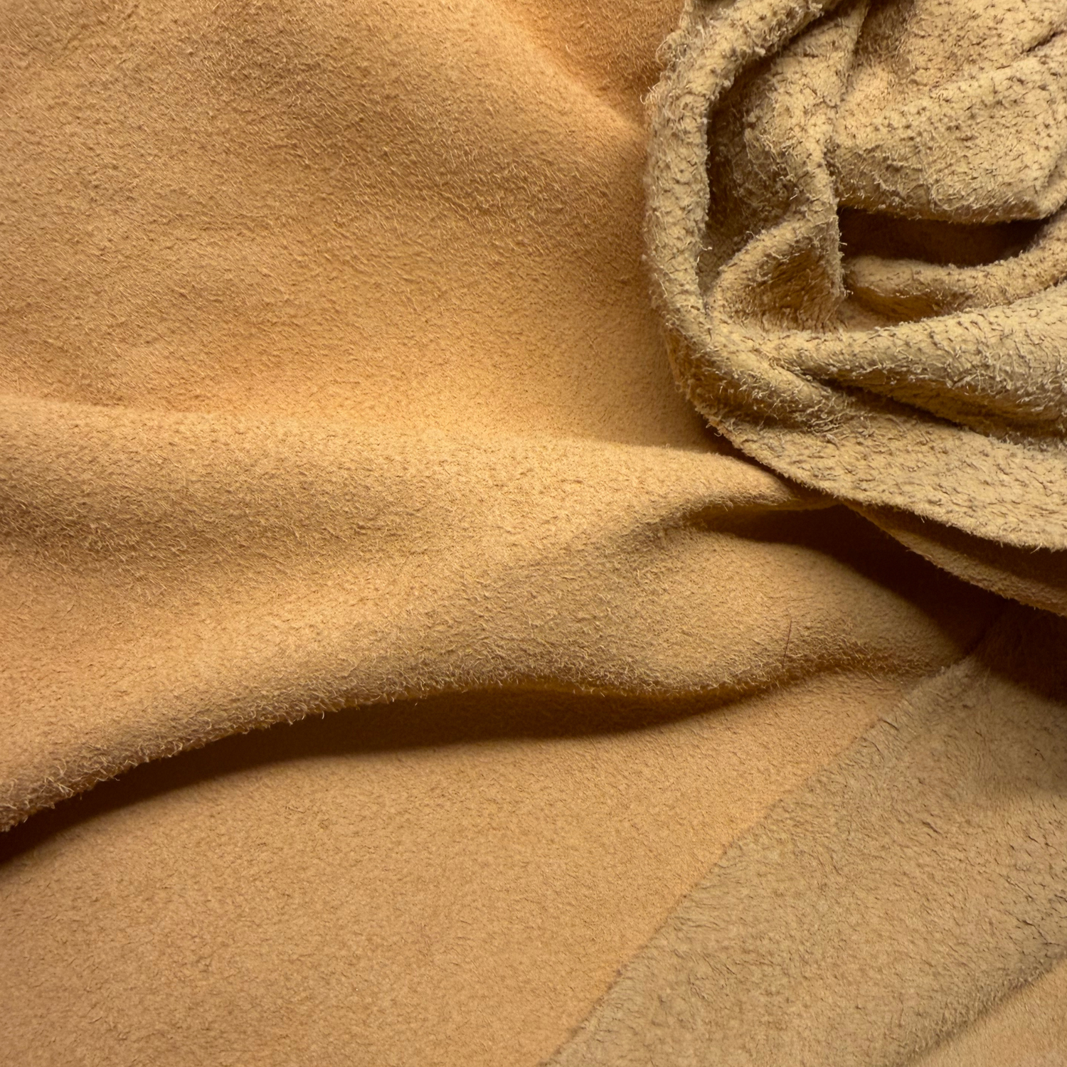 Buckskin